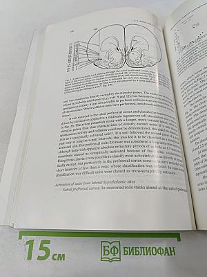 Brain Research. International Multidisciplinary Journal Devoted to Fundamental Research in the Brain Sciences. Vol. 60 No. 2