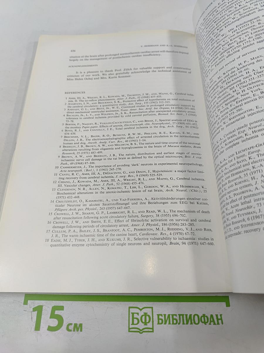 Brain Research. International Multidisciplinary Journal Devoted to Fundamental Research in the Brain Sciences. Vol. 60 No. 2