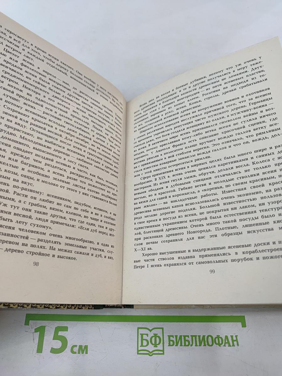 Рассказы о деревьях Крыма