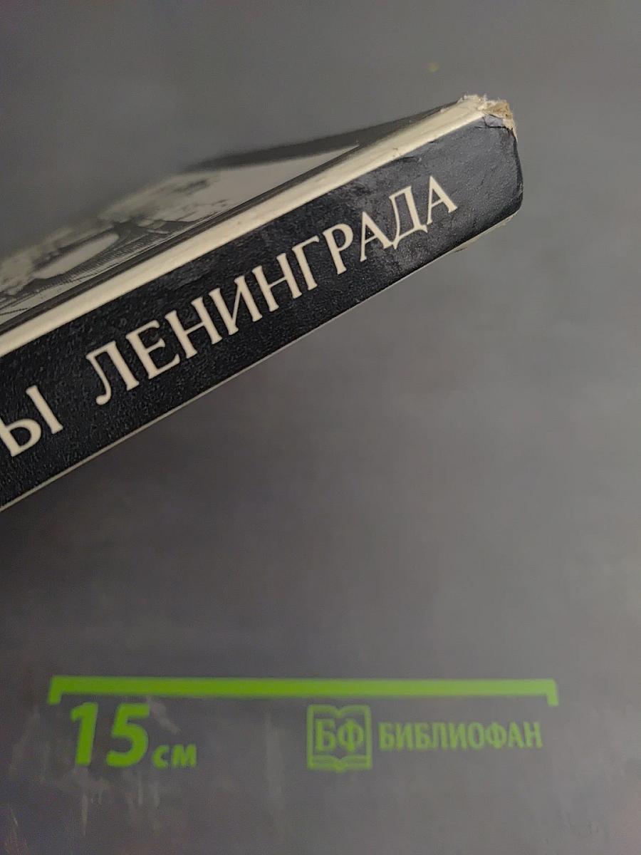 Мосты Ленинграда