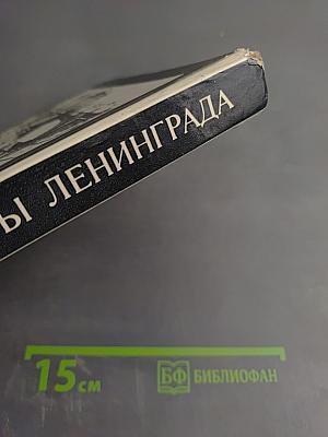 Мосты Ленинграда