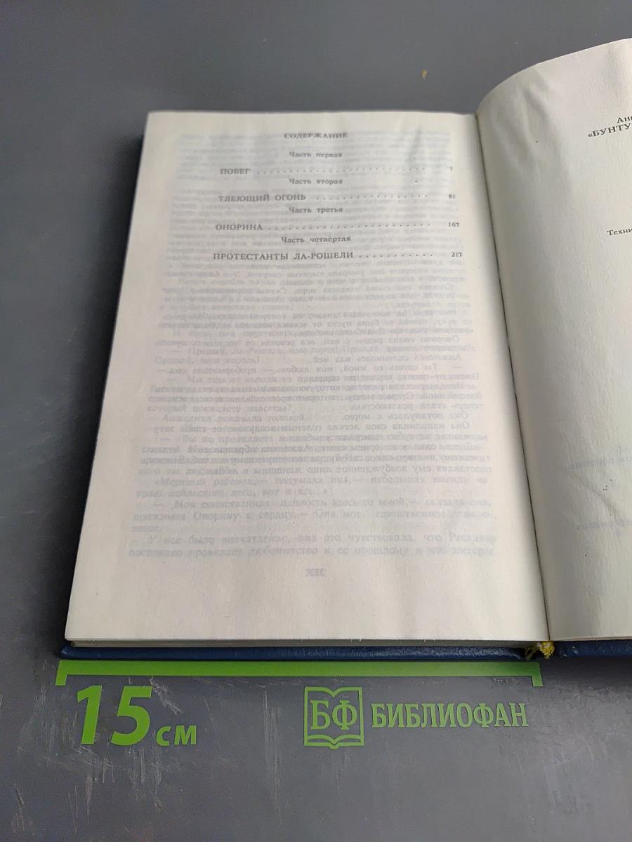 Бунтующая Анжелика, Книга 4