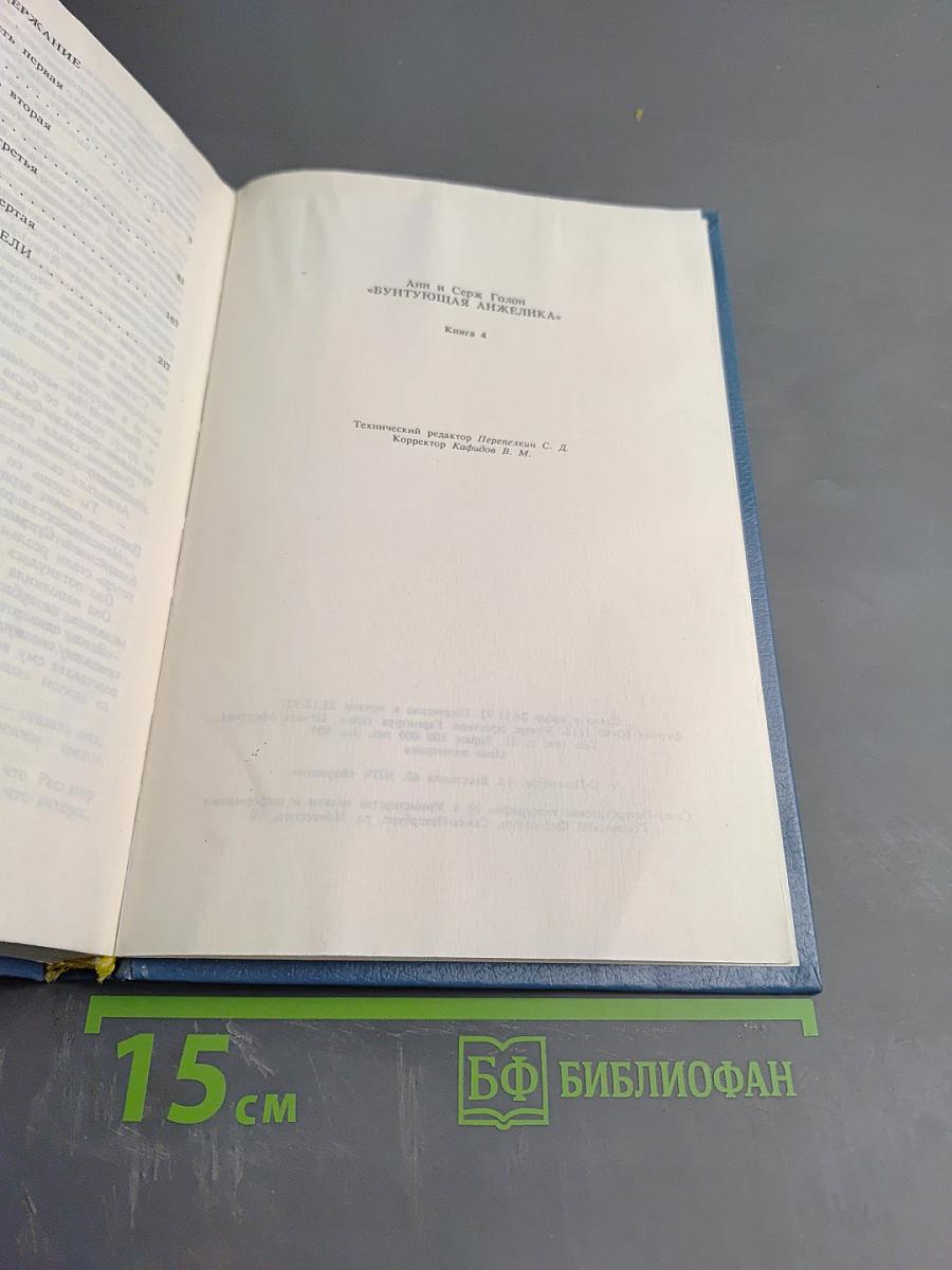 Бунтующая Анжелика, Книга 4