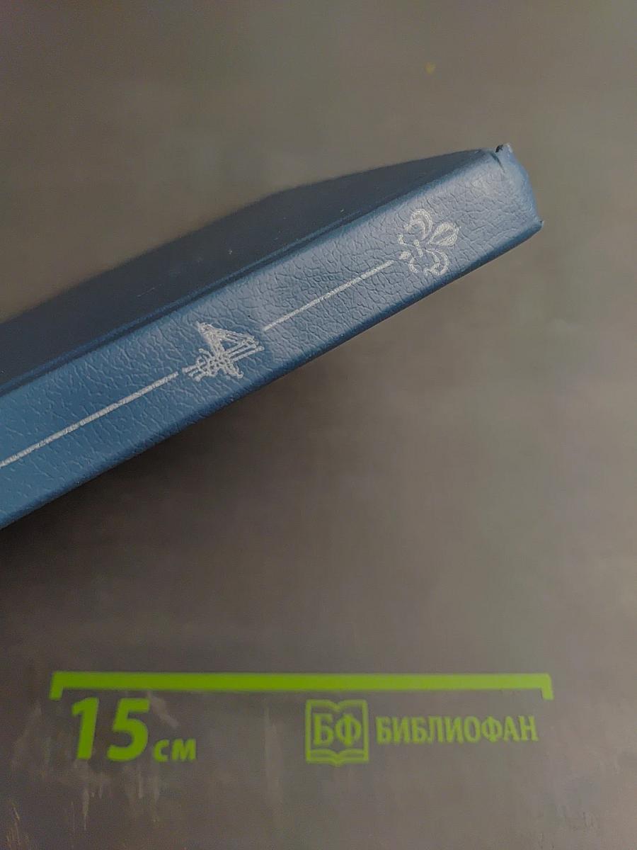 Бунтующая Анжелика, Книга 4