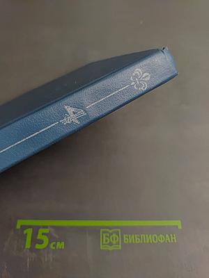 Бунтующая Анжелика, Книга 4