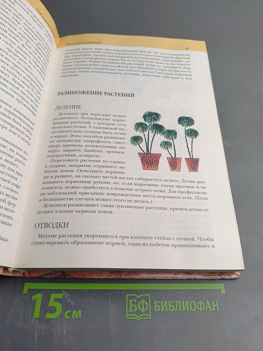 Комнатные растения