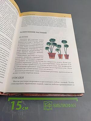 Комнатные растения