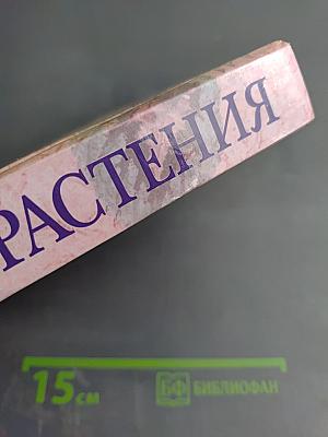 Комнатные растения