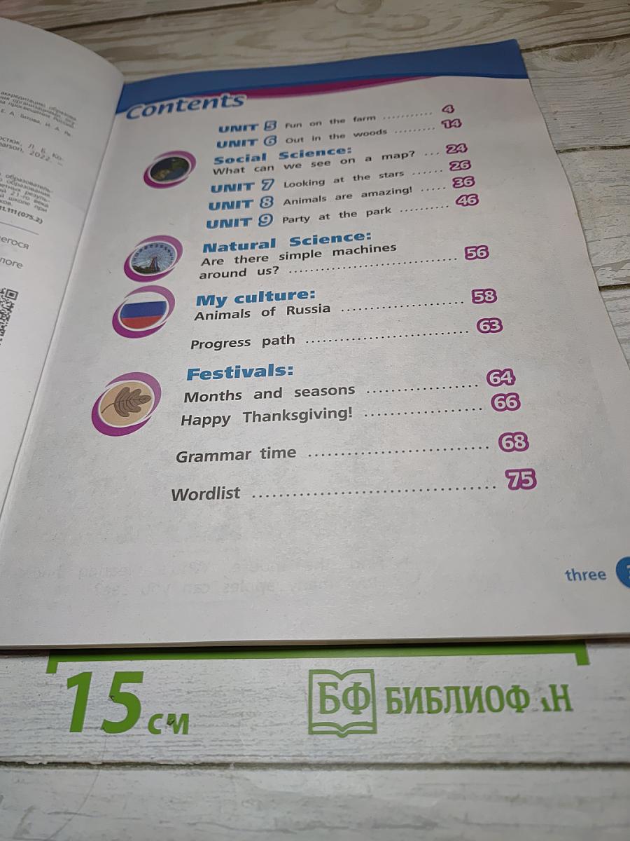 Team Up! Английский язык. 3 класс. Часть 2
