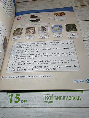 Team Up! Английский язык. 3 класс. Часть 2