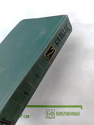 Собрание сочинений в 24 томах. Том 21. Человеческая комедия. Озорные рассказы