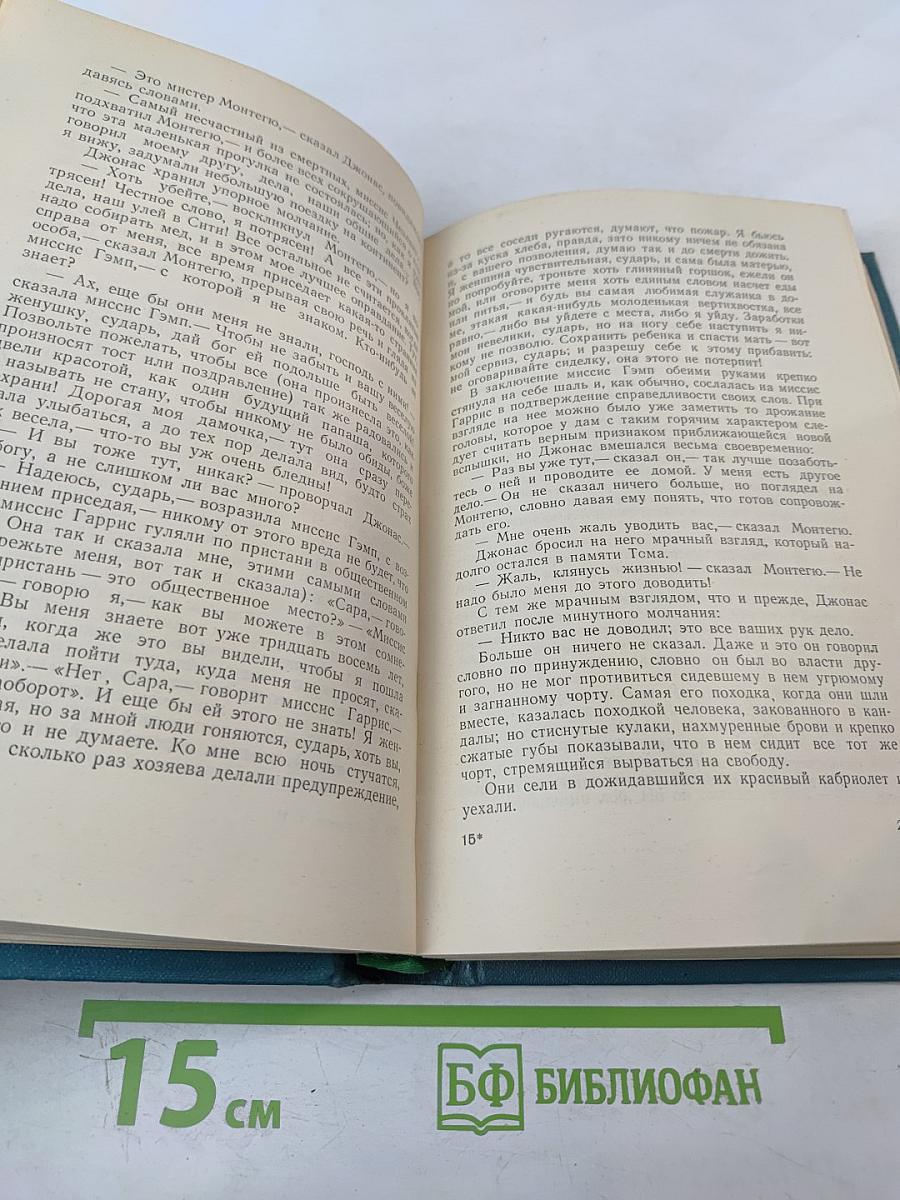 Жизнь и приключения Мартина Чезлвита. Том 2