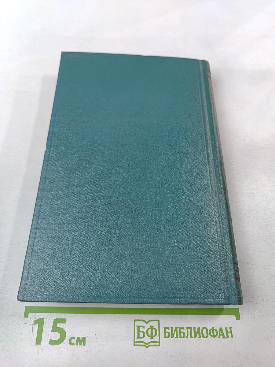 Жизнь и приключения Мартина Чезлвита. Том 2