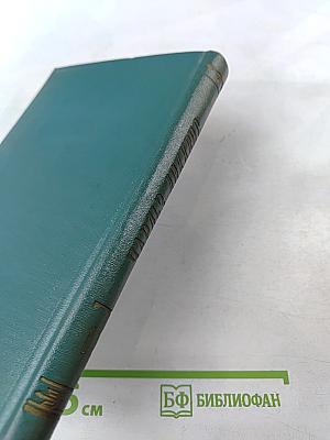 Жизнь и приключения Мартина Чезлвита. Том 2