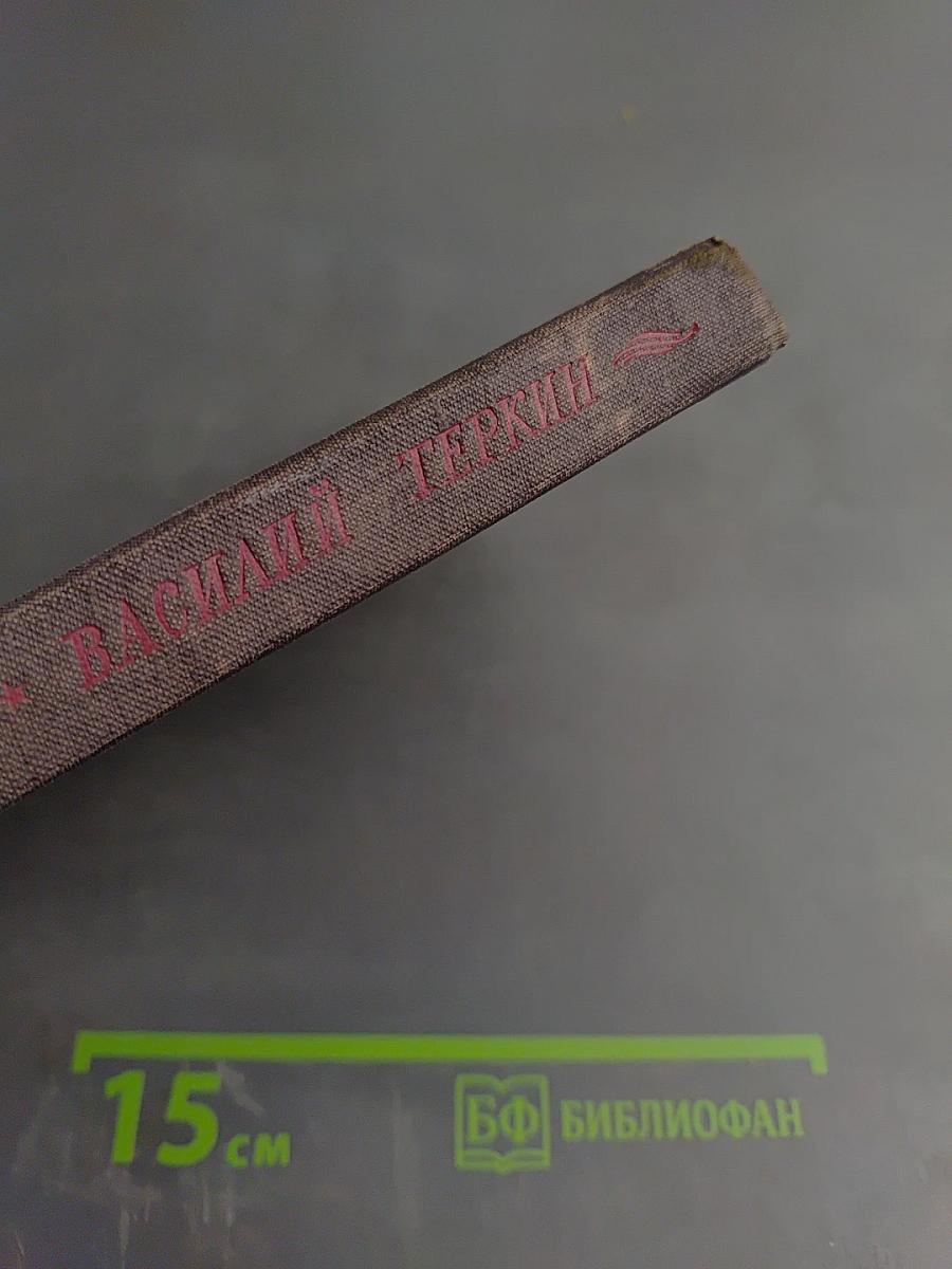 Василий Теркин