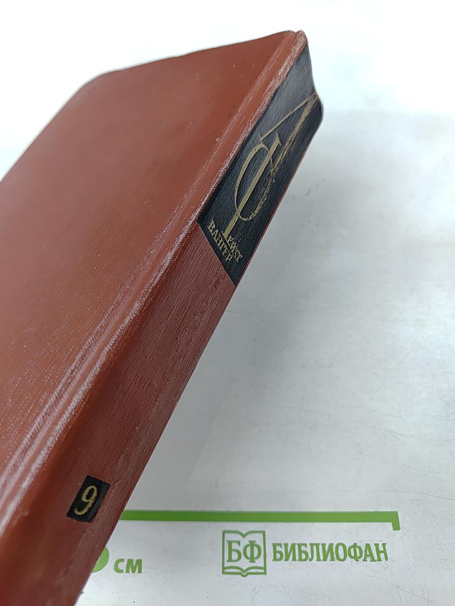 Собрание сочинений. Том девятый: Настанет день. Братья Лаутензак