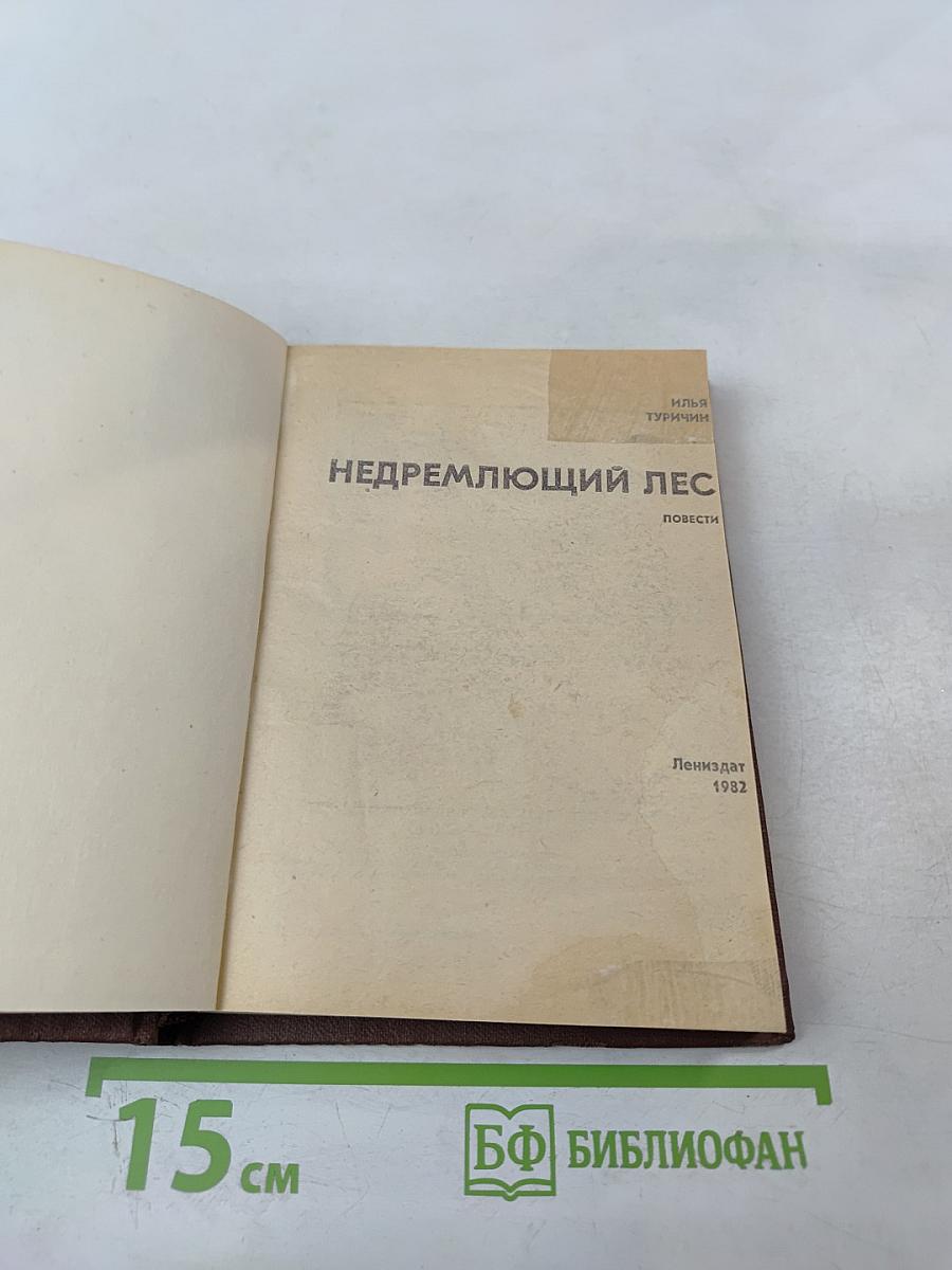 Недремлющий лес