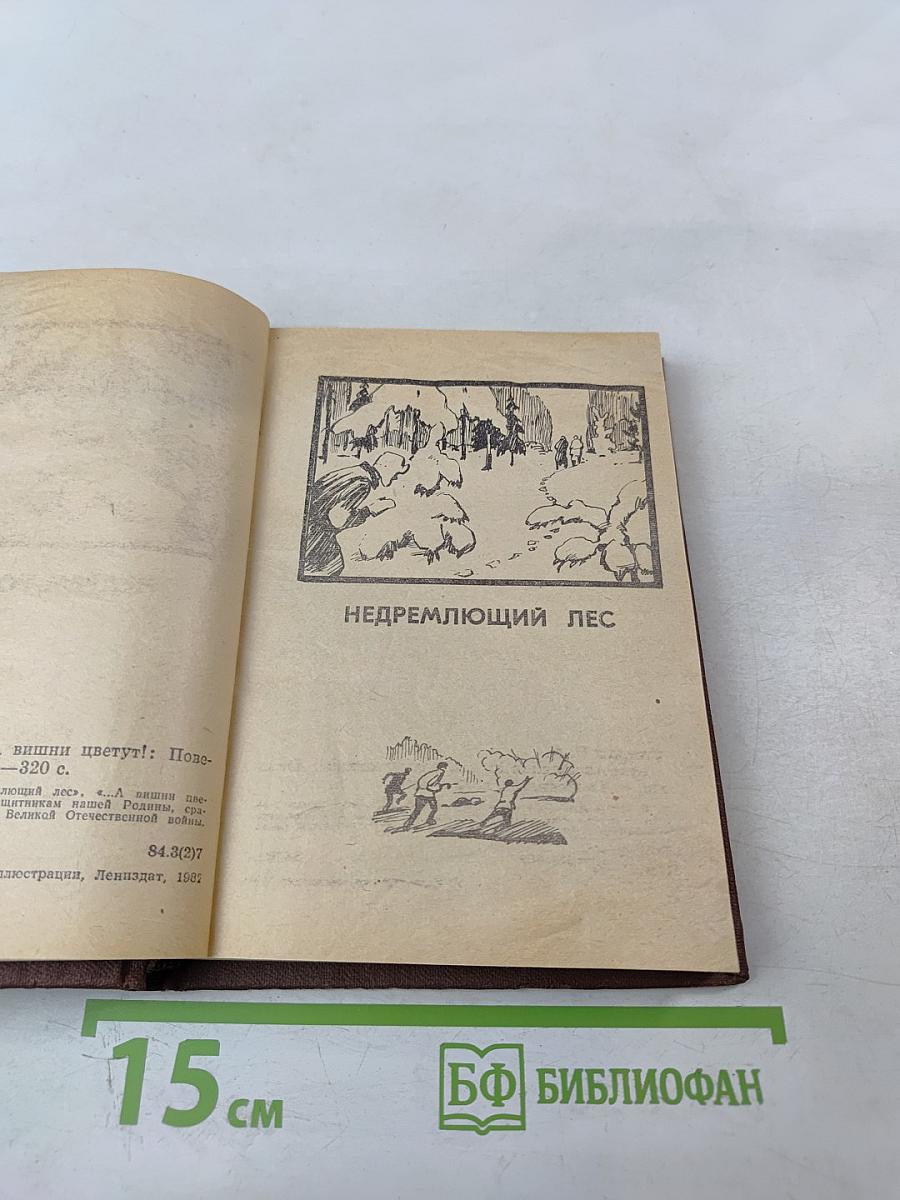 Недремлющий лес