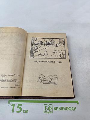 Недремлющий лес