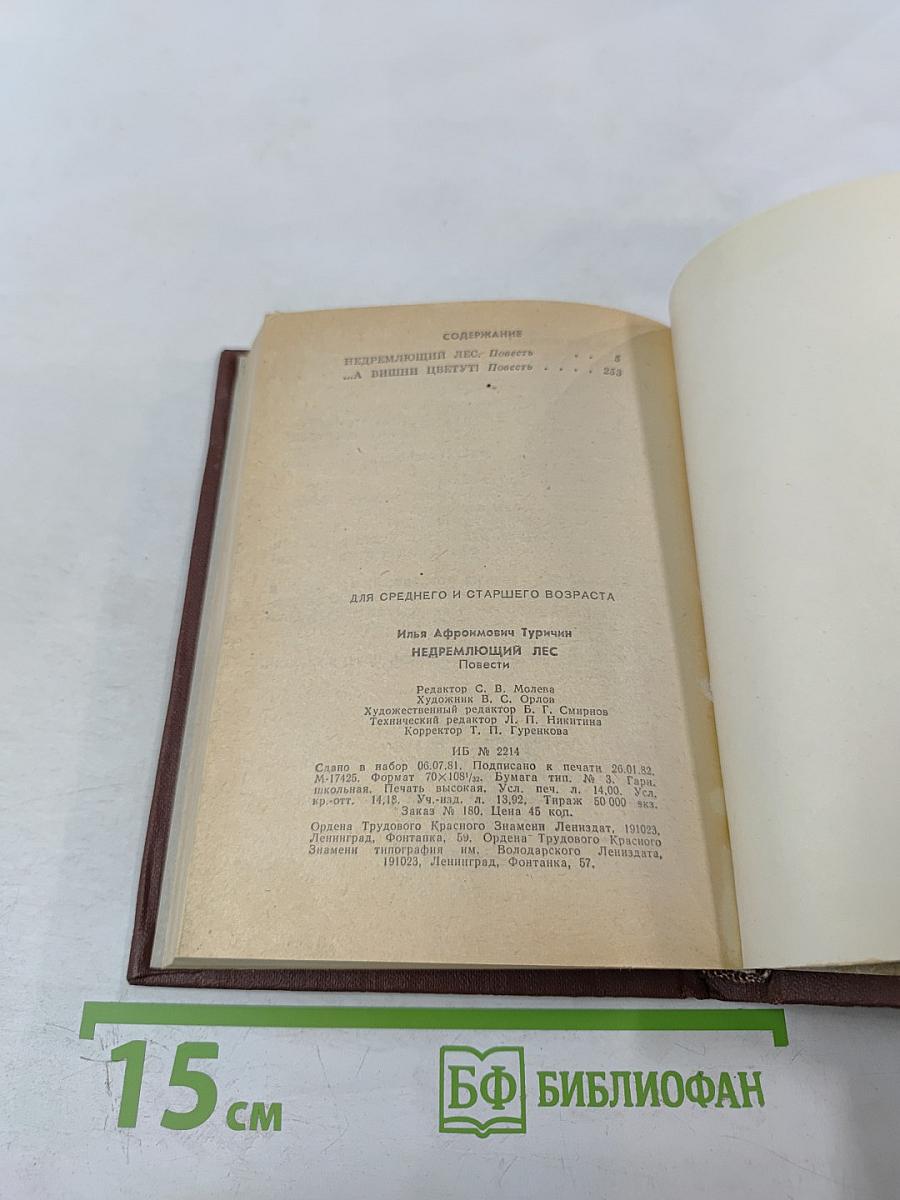 Недремлющий лес