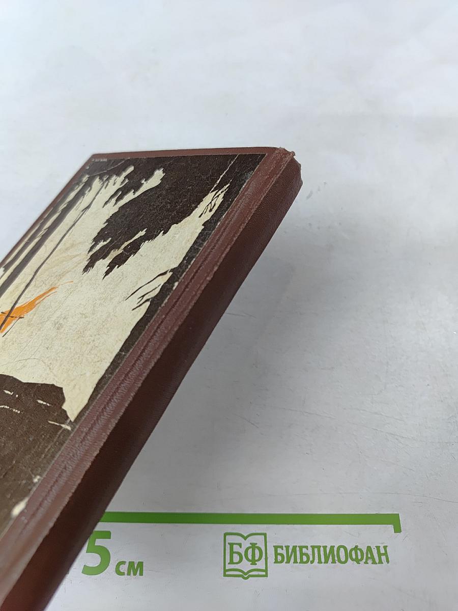 Недремлющий лес