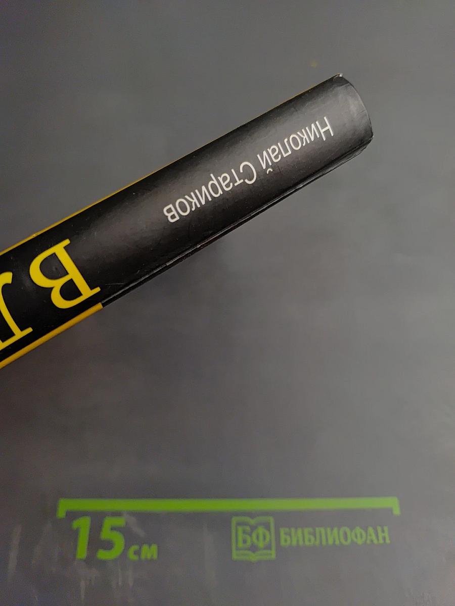 Власть. Книга с иллюстрациями, но без картинок