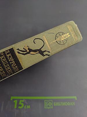 Приключения Алисы в Стране Чудес. Сказки Маугли. Винни-Пух и все-все-все. Питер Пэн