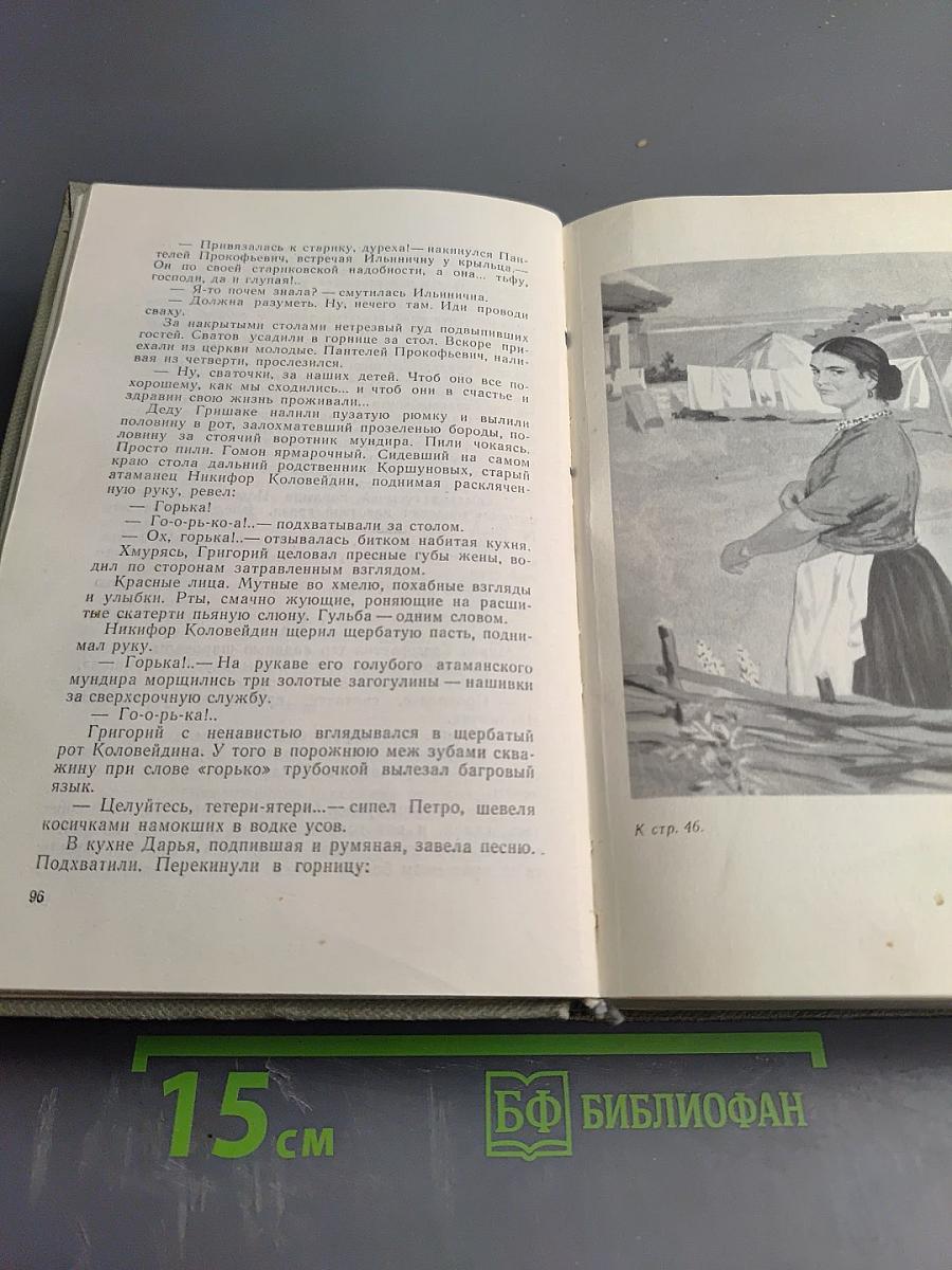 Тихий Дон. Том первый