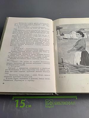 Тихий Дон. Том первый