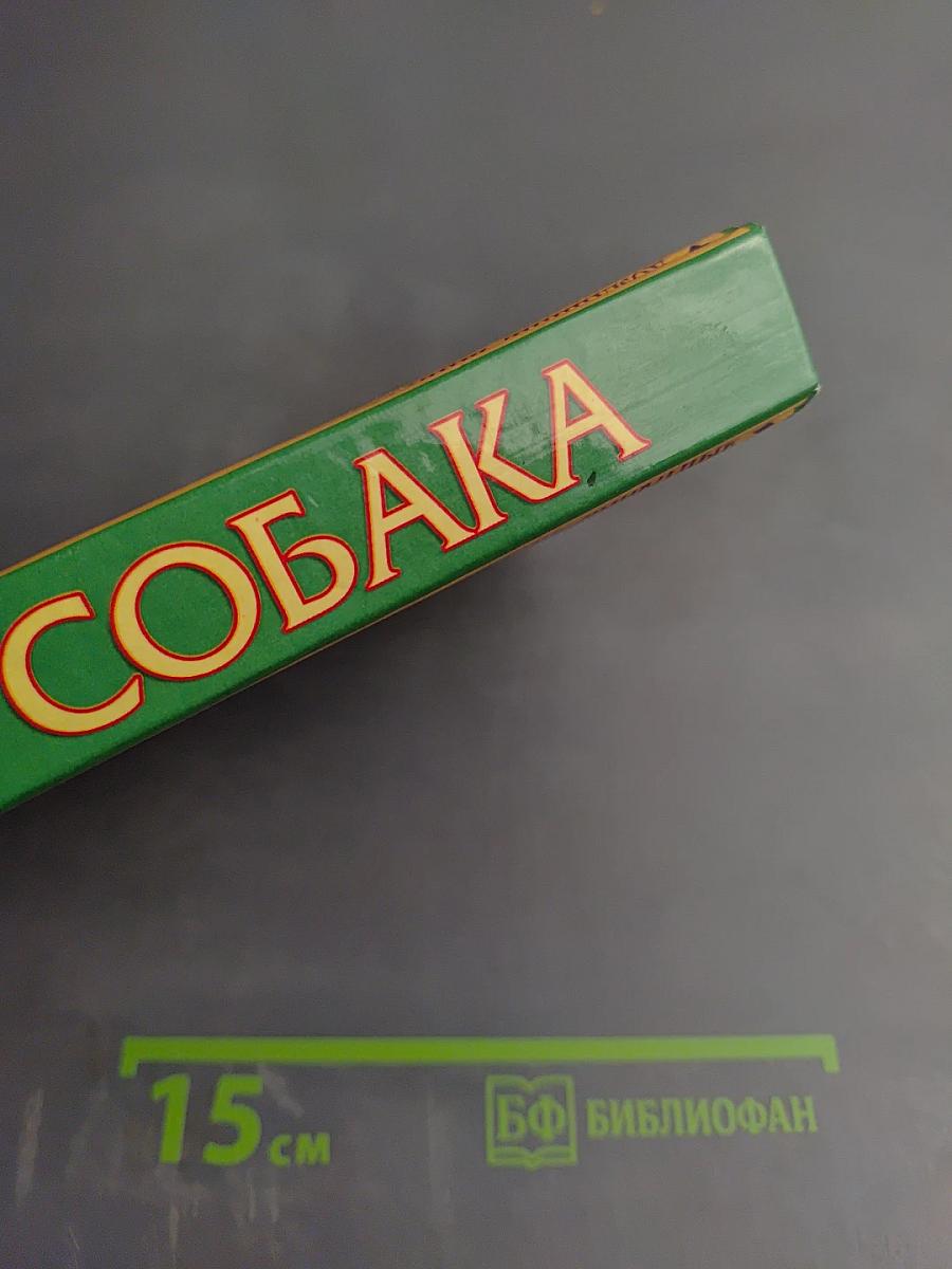 Ваша собака