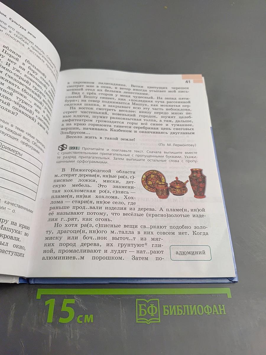 Русский язык 6 класс Часть 2