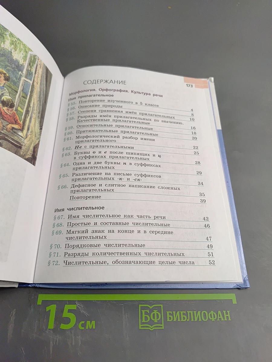 Русский язык 6 класс. Часть 2