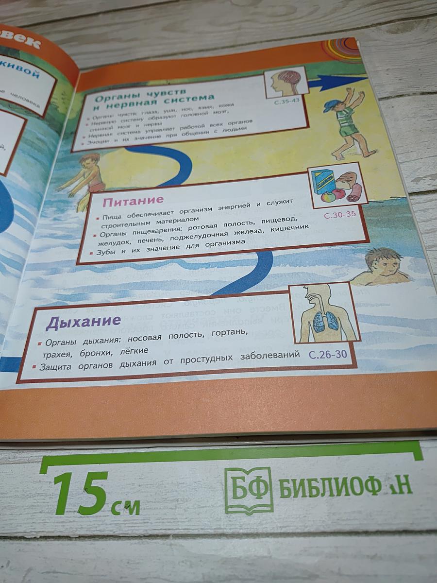 Окружающий мир 3 класс Часть 2