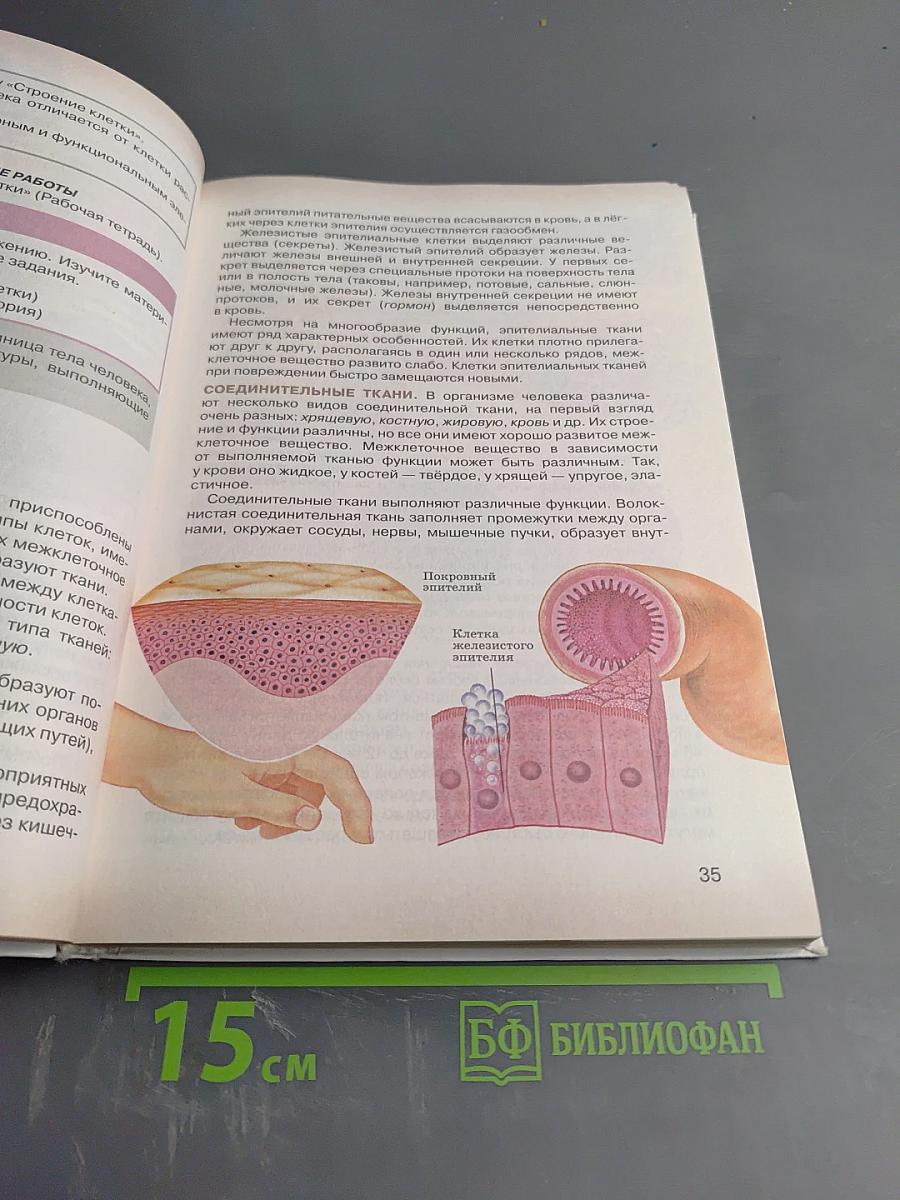 Биология. Человек. 9 класс