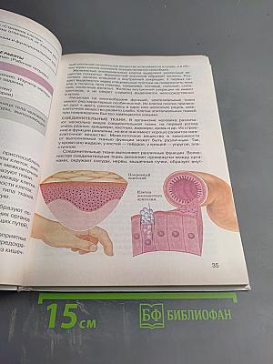Биология. Человек. 9 класс