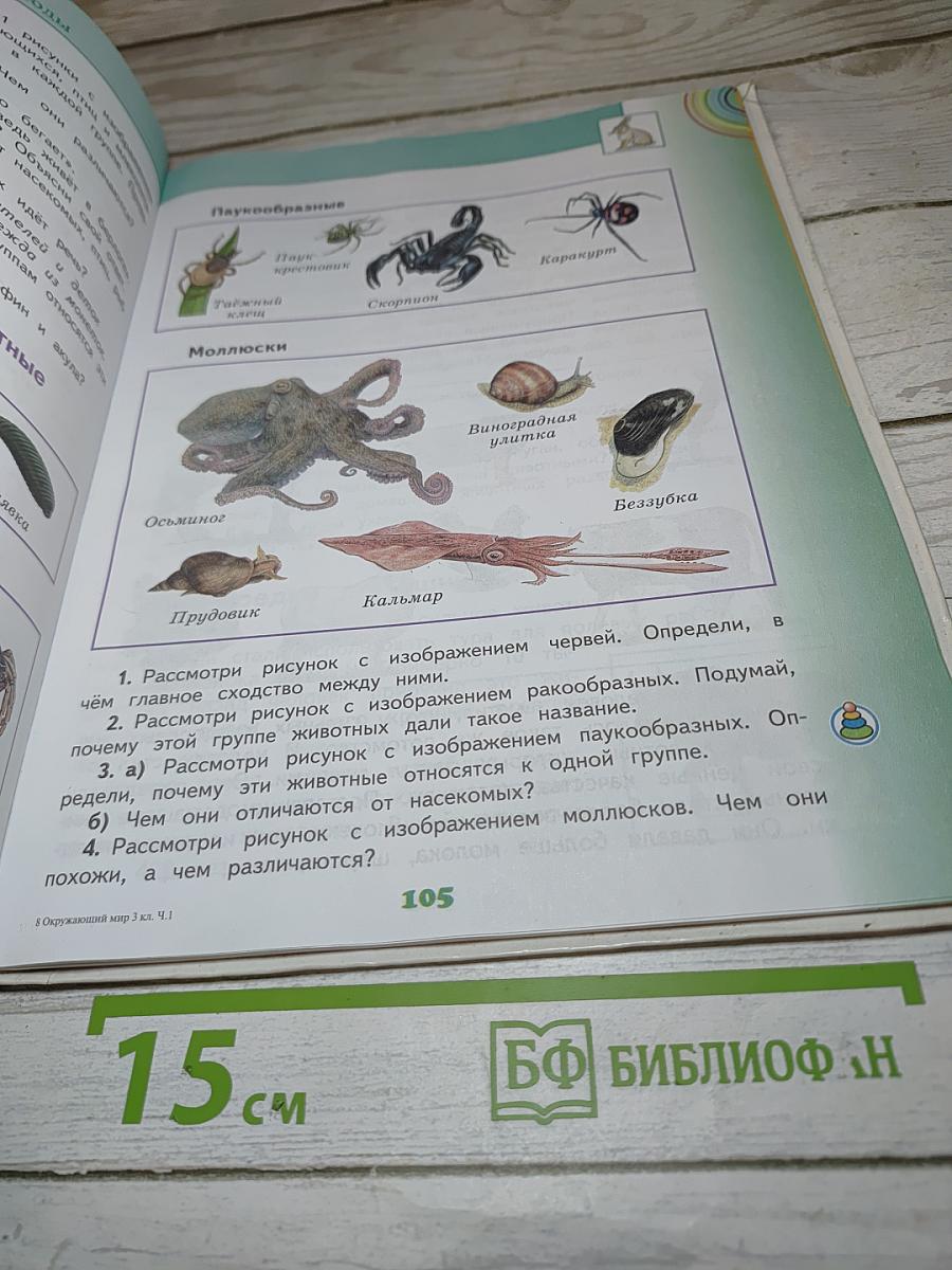 Окружающий мир 3 класс, Часть 1