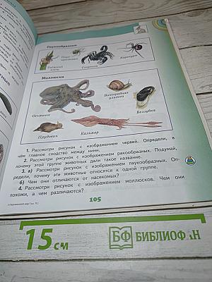 Окружающий мир 3 класс, Часть 1