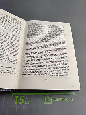 Живые и мертвые. Книга третья. Последнее лето