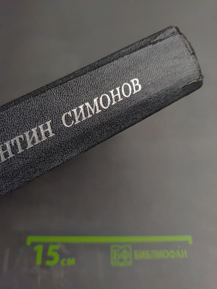 Живые и мертвые. Книга третья. Последнее лето