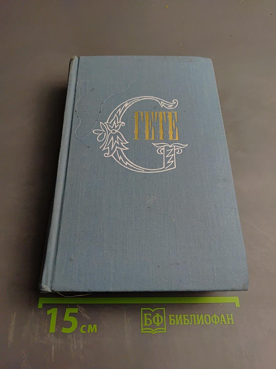 Собрание сочинений. Том третий. Из моей жизни. Поэзия и правда