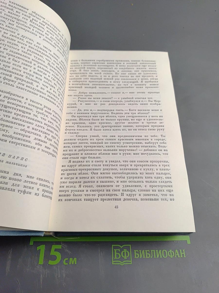 Собрание сочинений. Том третий. Из моей жизни. Поэзия и правда