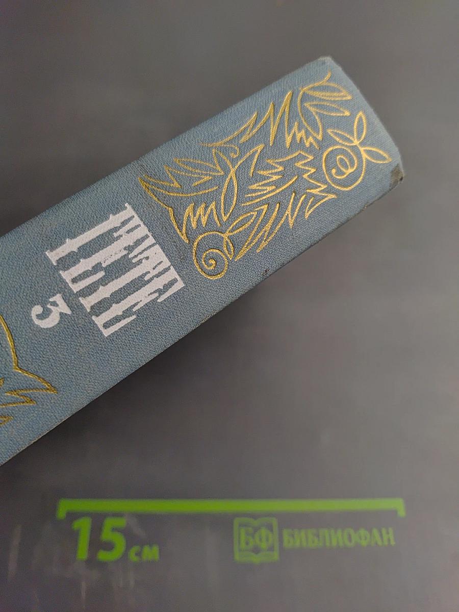 Собрание сочинений. Том третий. Из моей жизни. Поэзия и правда