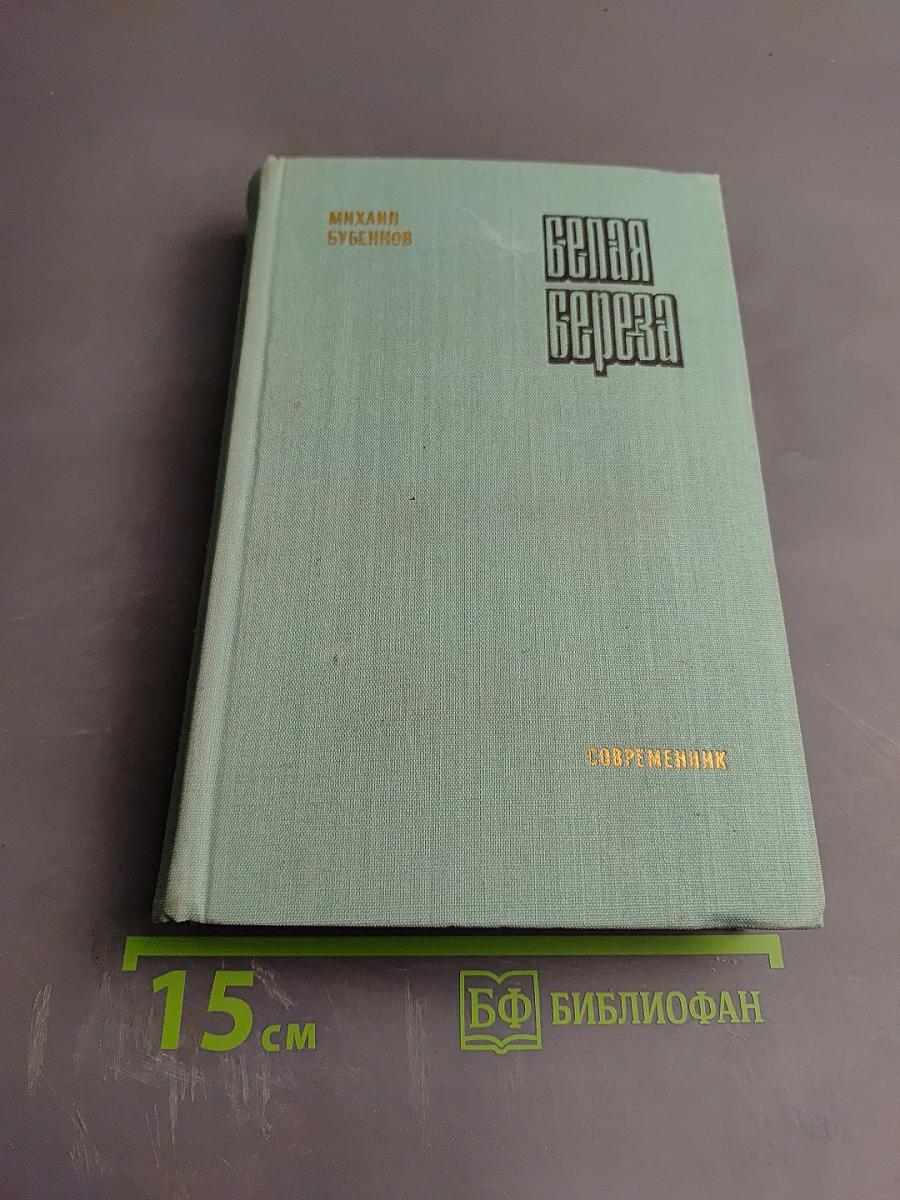 Белая береза