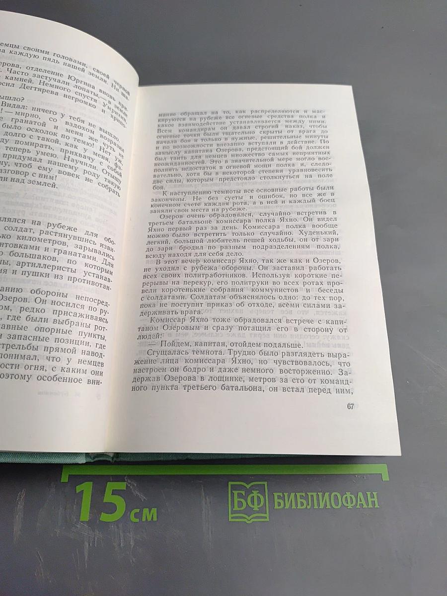 Белая береза