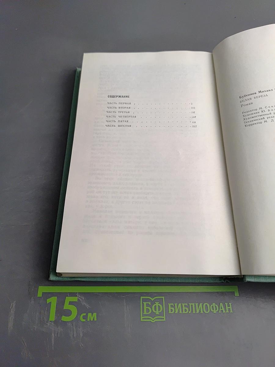 Белая береза