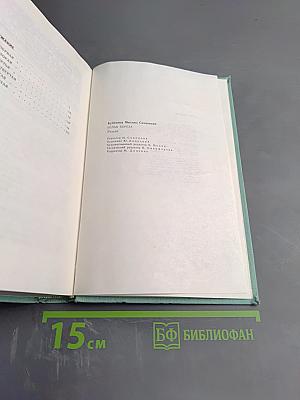 Белая береза