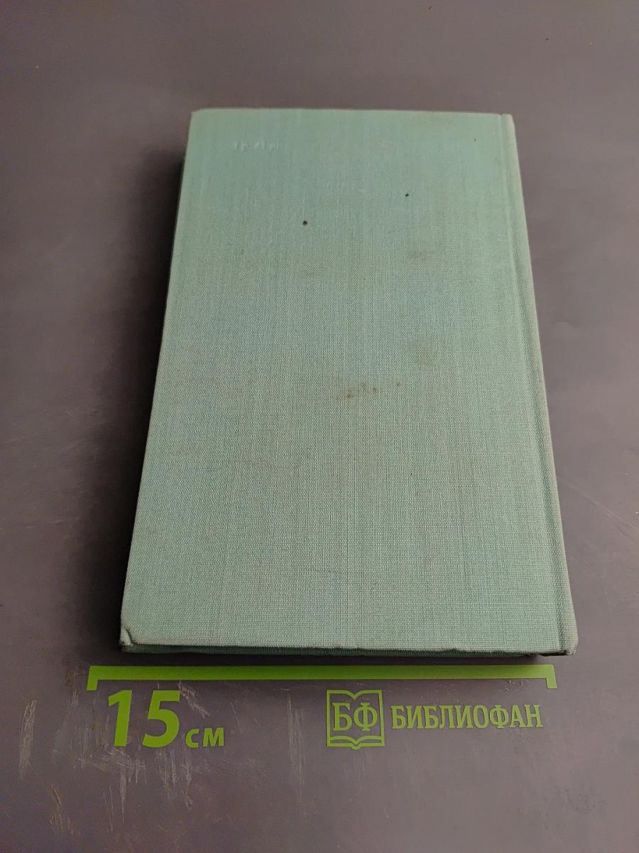 Белая береза