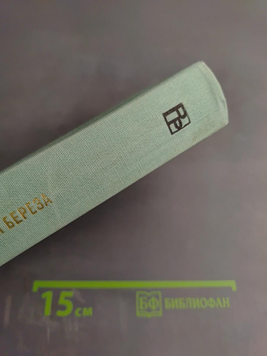 Белая береза