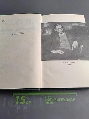 Собрание сочинений. Том четвертый. Романы