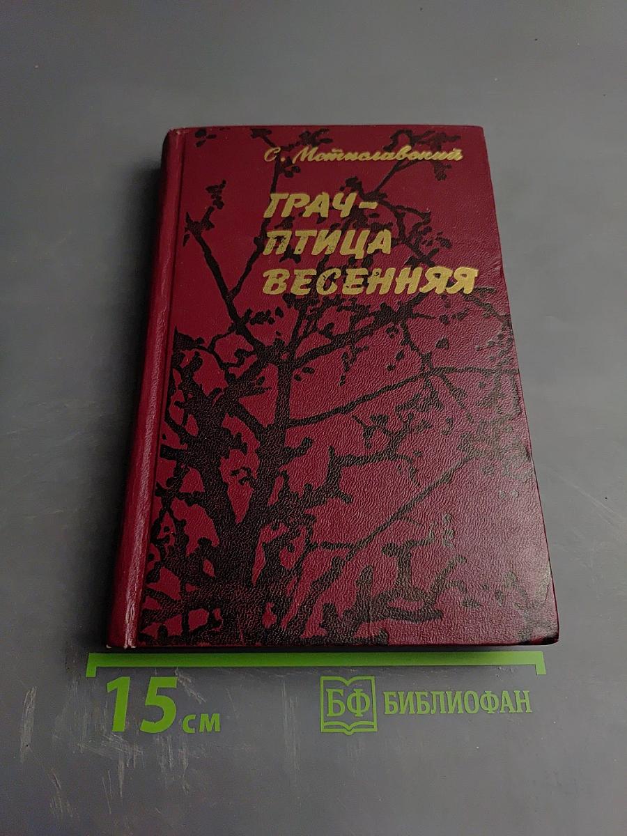 Грач - птица весенняя